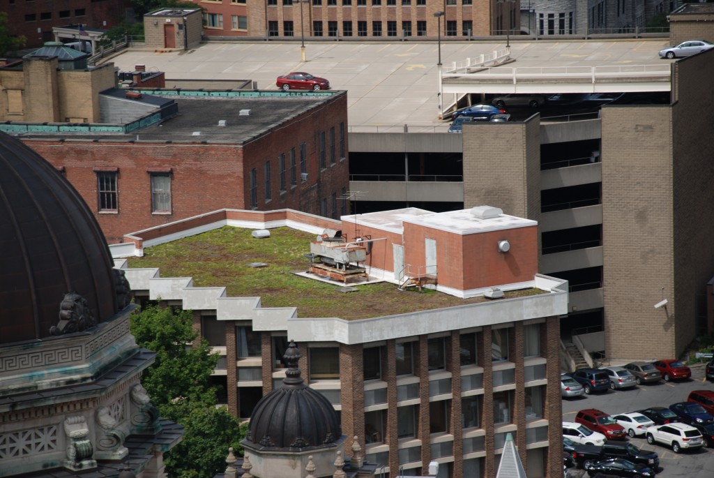 GIF - Monroe Building Green Roof