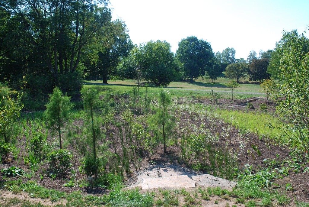 Avery Ave Rain Garden