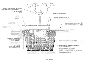 Tree in Planter Bed - Detail Drawing
