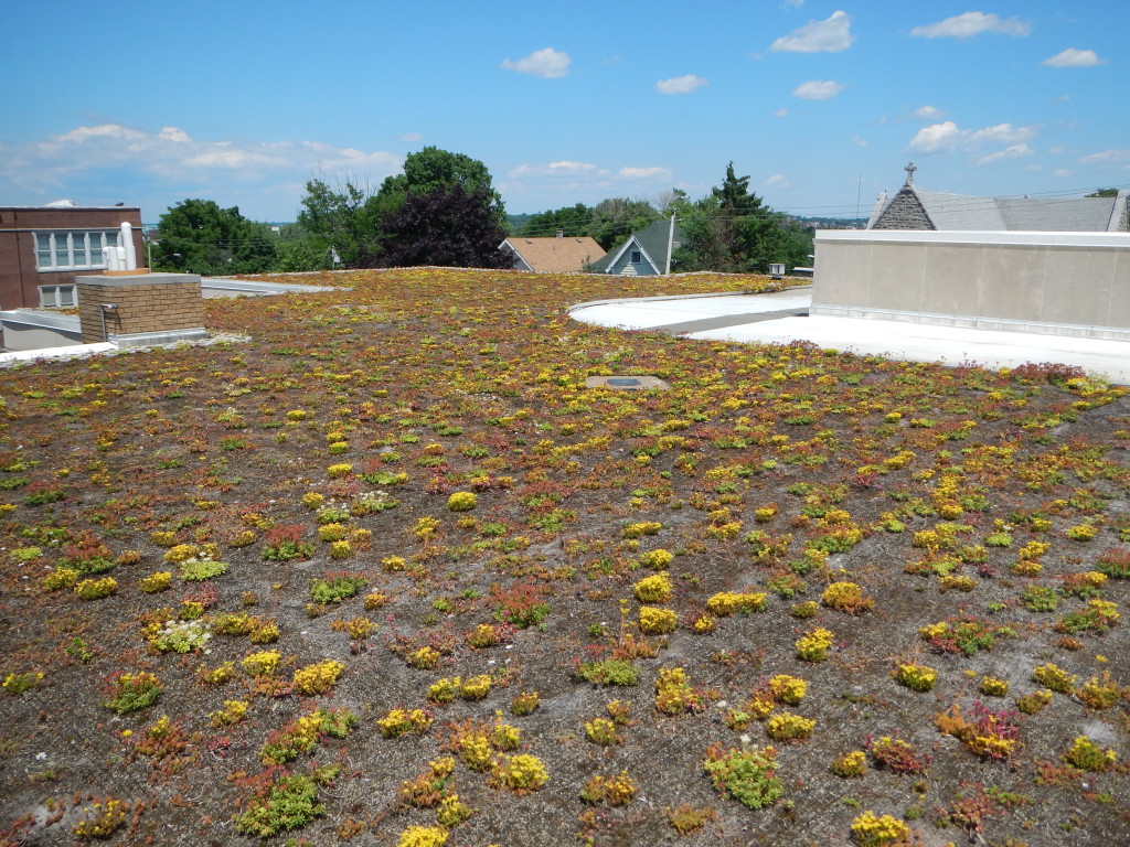 Hazard Roof