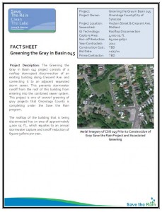 Greening the Gray Basin 045 Project Overview