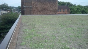 USPS Green Roof Complete