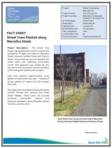 Street Trees on Marcellus Ave Fact Sheet