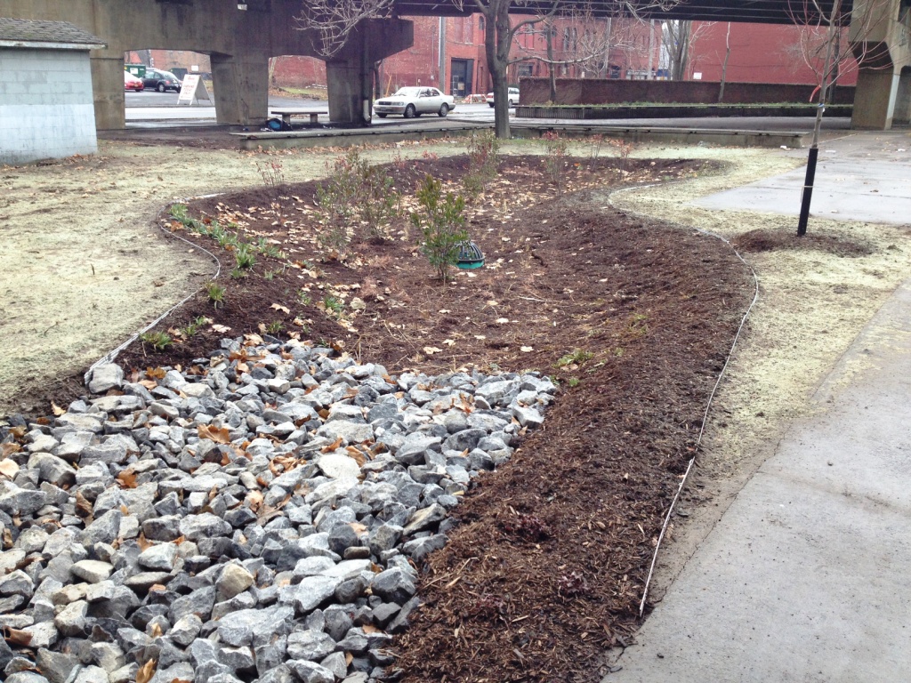 690 Downspouts - Bioretention Site 5