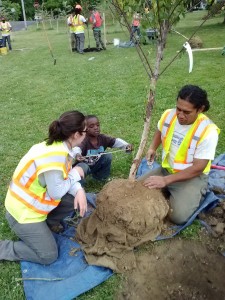 Spring Tree Planting 1