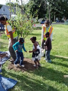 Spring Tree Planting 3